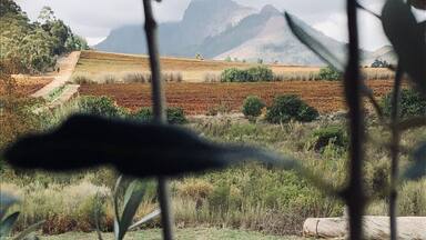 A rural landscape with fields, a dirt path, and mountains in the distance.