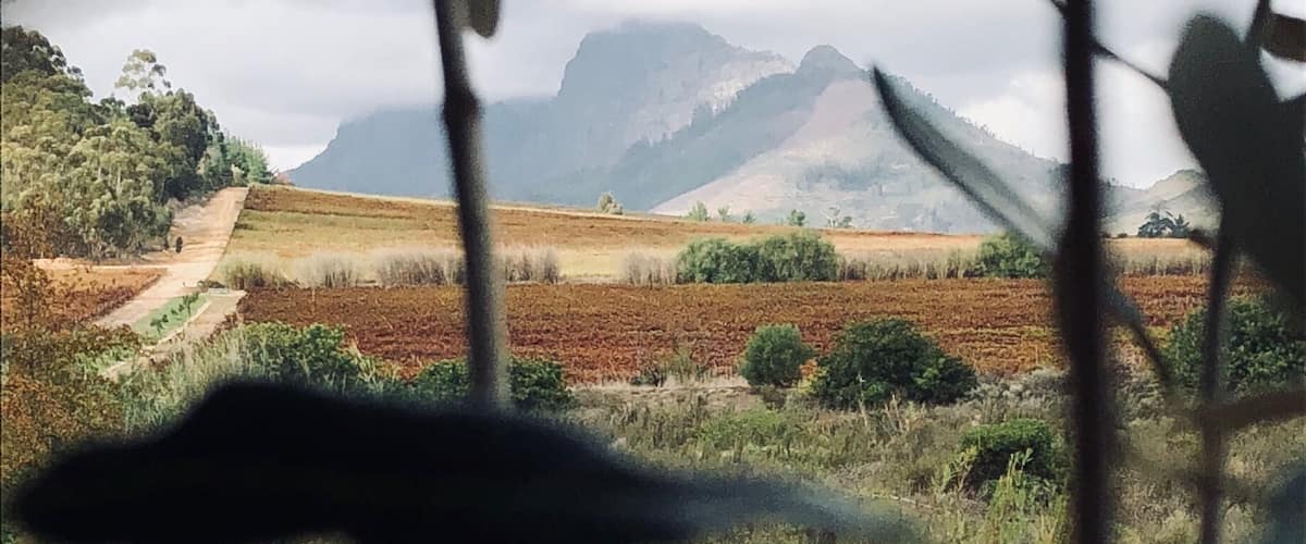 A rural landscape with fields, a dirt path, and mountains in the distance.