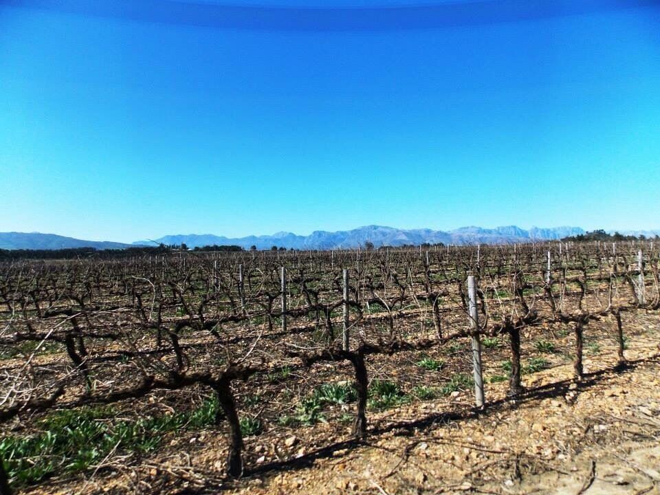 Amazing wine tasting.

#wineteasting