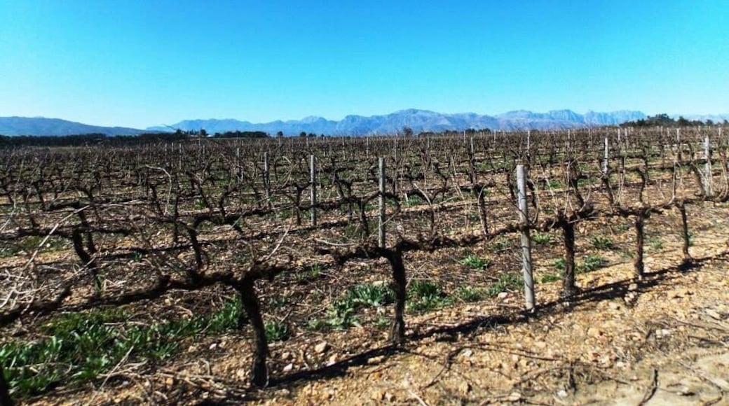 Amazing wine tasting.
#wineteasting