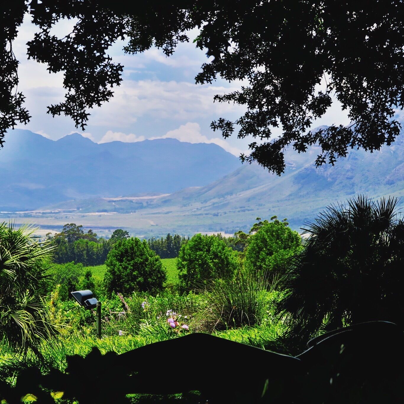 Drinking good wine and looking at this view- heavenly!