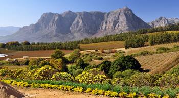 Magníficas as vinícolas dessa bela região.