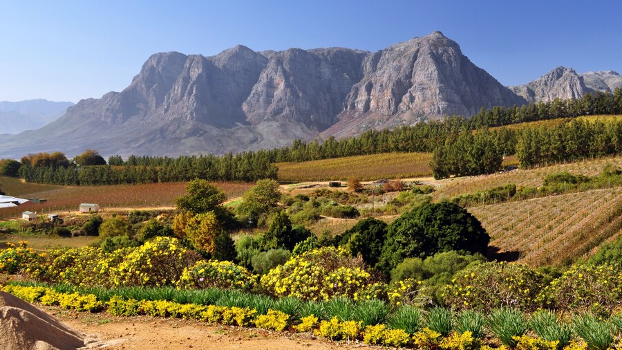 Magníficas as vinícolas dessa bela região.