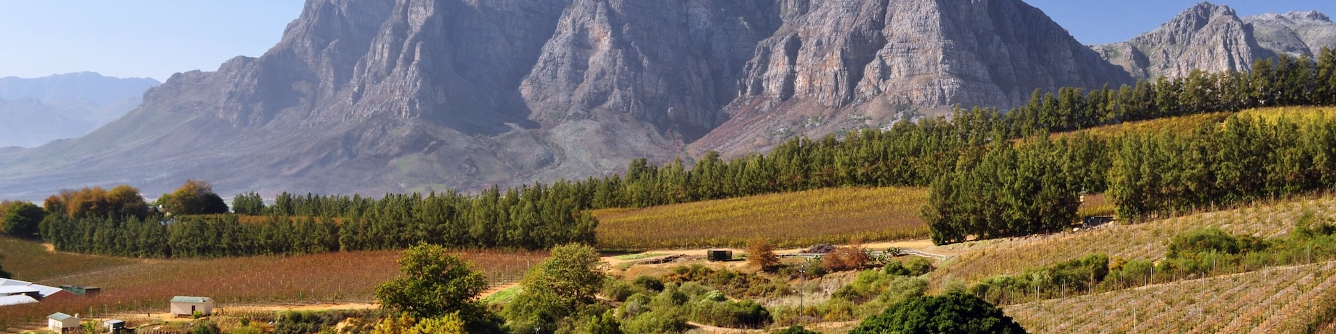 Magníficas as vinícolas dessa bela região.