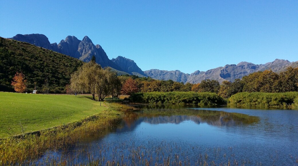 Postcard cafe outside Stellenbosch