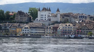 A riverside town with historic buildings, a prominent castle, and mountains in the background.