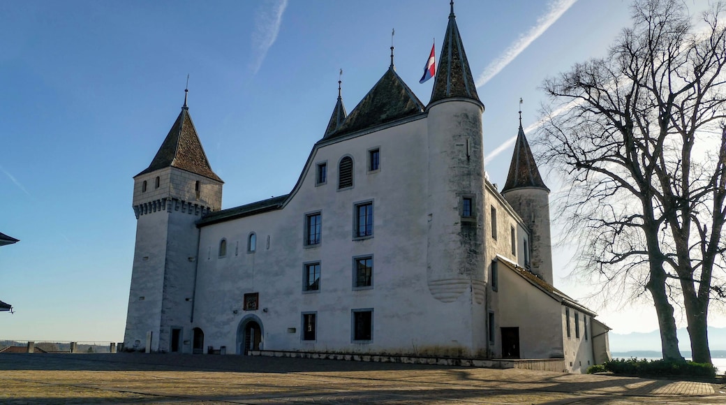 This is an image of a cultural property of national significance in Switzerland with KGS number