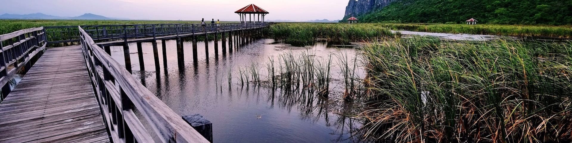 Long walk ways in Mont.Samroiyot National Park seemed very peaceful in the late afternoon.I walked there quietly ,hoping to see the ducks and birds. I did!... but they flew too quickly that I couldn't take any photos. I was there until the sun went down and it was worth waiting...