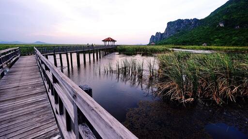 Long walk ways in Mont.Samroiyot National Park seemed very peaceful in the late afternoon.I walked there quietly ,hoping to see the ducks and birds. I did!... but they flew too quickly that I couldn't take any photos. I was there until the sun went down and it was worth waiting...