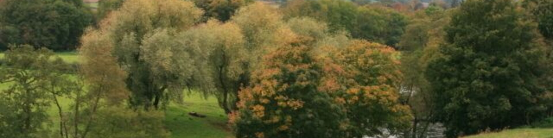 A Glimpse of the River Derwent From the road between Little Eaton and Edgehill.