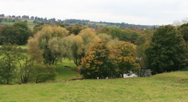 A rural landscape with rolling hills, a variety of trees, and a small stream.