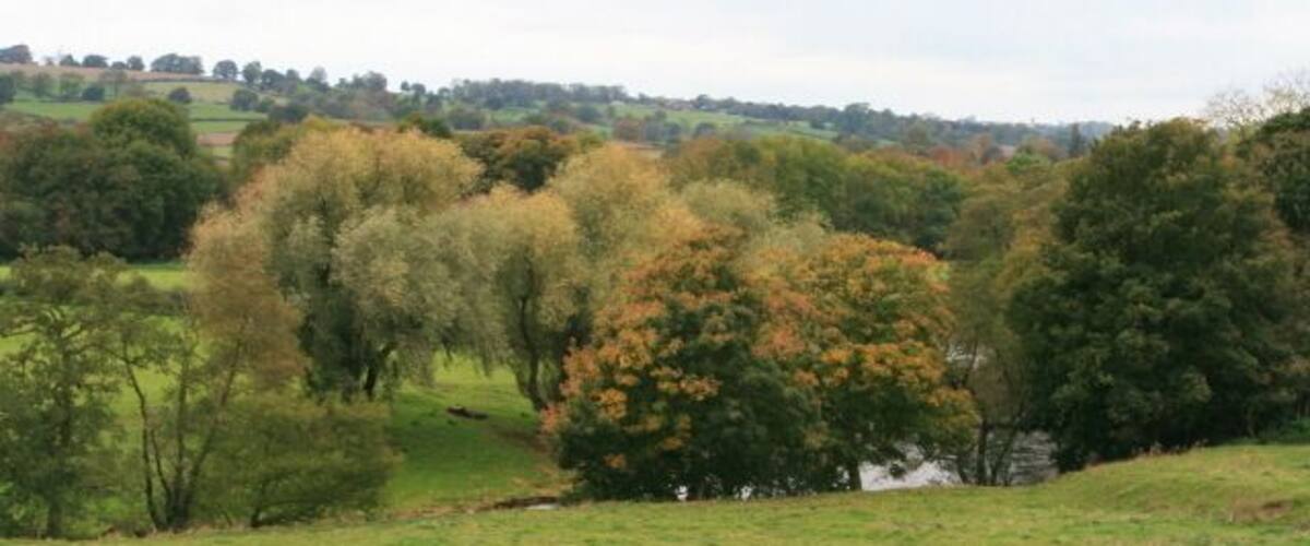 A rural landscape with rolling hills, a variety of trees, and a small stream.