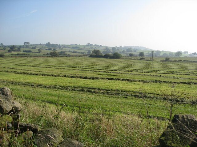Freshly mown fields near Shottle