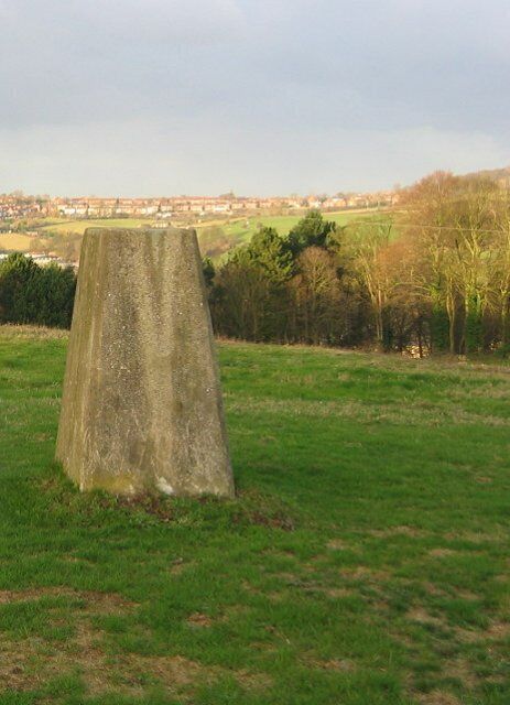 Sunnyhill Triangulation pillar in a small field.