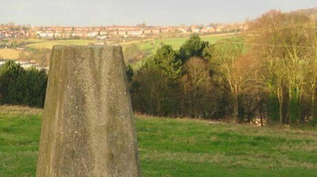 Sunnyhill Triangulation pillar in a small field.