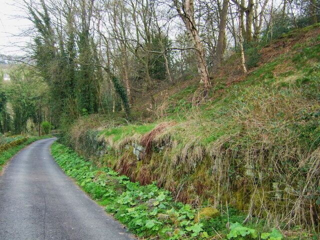 Track and path The track up to Chevinend farm from Chevin Road.