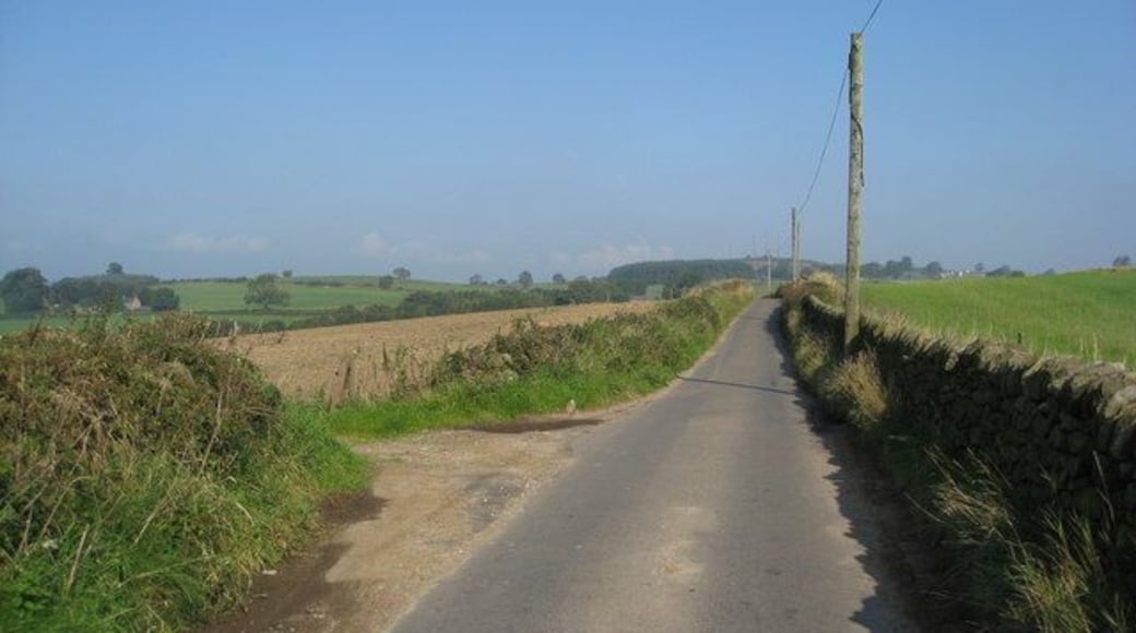 Chequer Lane near Shottle