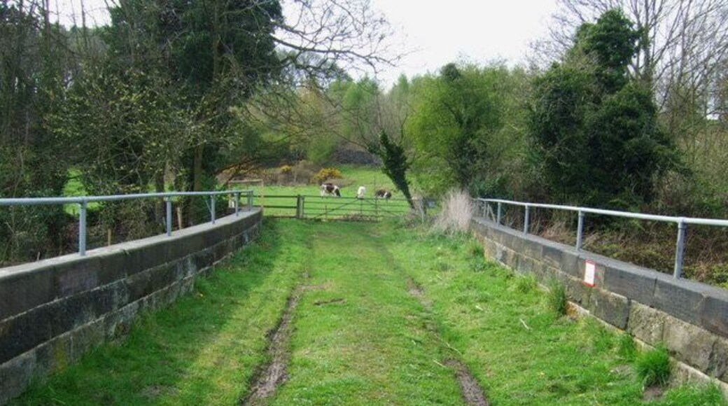 Strutts Bridge The farm access over Strutts Bridge.