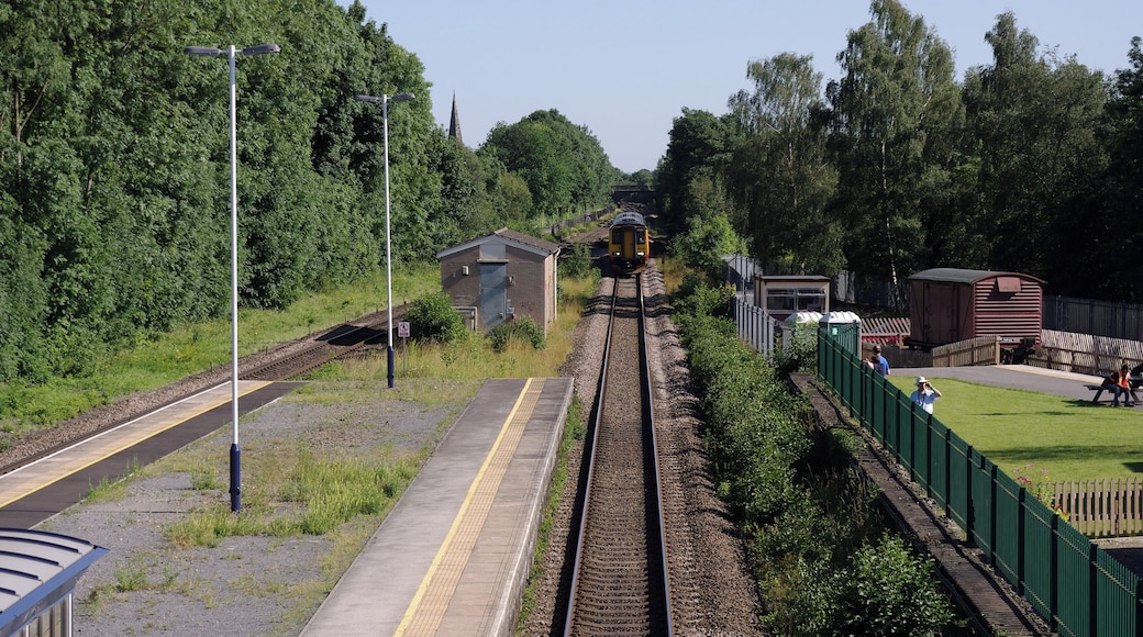 East Midlands Trains class 156 "Super Sprinter" DMU 156498 arrives at Duffield with a Derwent Valley Line service to Matlock.