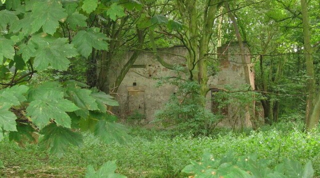 Ruin of Farnah Hall, Duffield. The site of Farnah Hall is now completely overgrown and very little remains of the buildings. Apparently the Home Guard used it for grenade target practice during the war, hastening its demise!