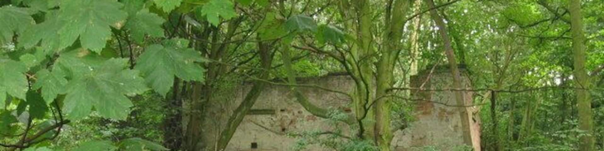 Ruin of Farnah Hall, Duffield. The site of Farnah Hall is now completely overgrown and very little remains of the buildings. Apparently the Home Guard used it for grenade target practice during the war, hastening its demise!