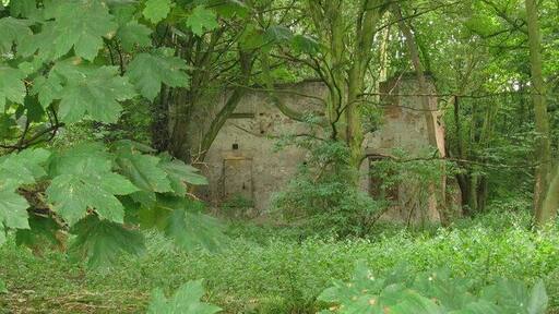Ruin of Farnah Hall, Duffield. The site of Farnah Hall is now completely overgrown and very little remains of the buildings. Apparently the Home Guard used it for grenade target practice during the war, hastening its demise!