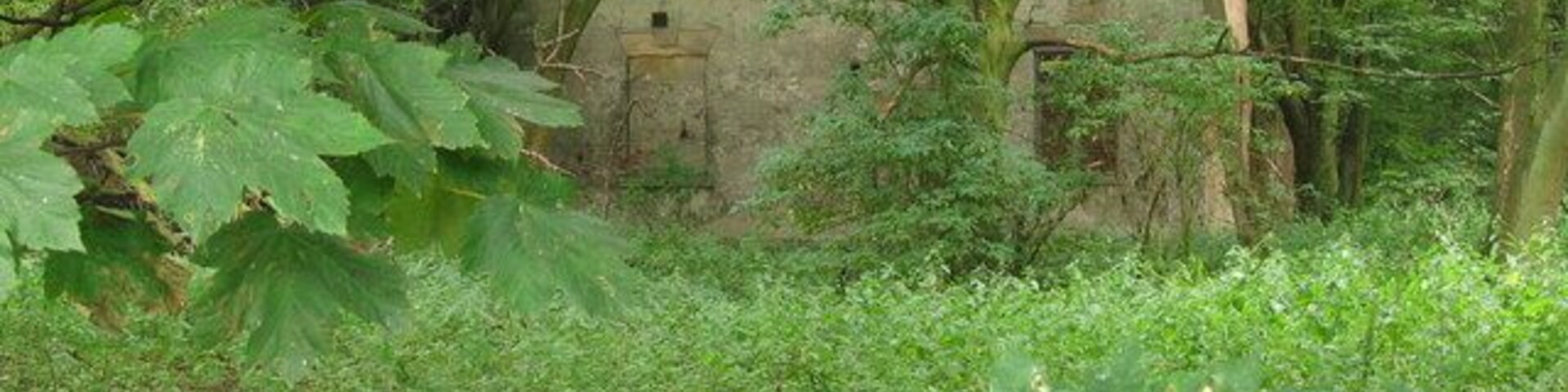 Ruin of Farnah Hall, Duffield. The site of Farnah Hall is now completely overgrown and very little remains of the buildings. Apparently the Home Guard used it for grenade target practice during the war, hastening its demise!