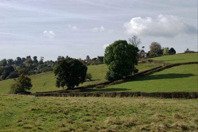 Track to Holbrook This hedge-lined track leads up into the village of Holbrook.