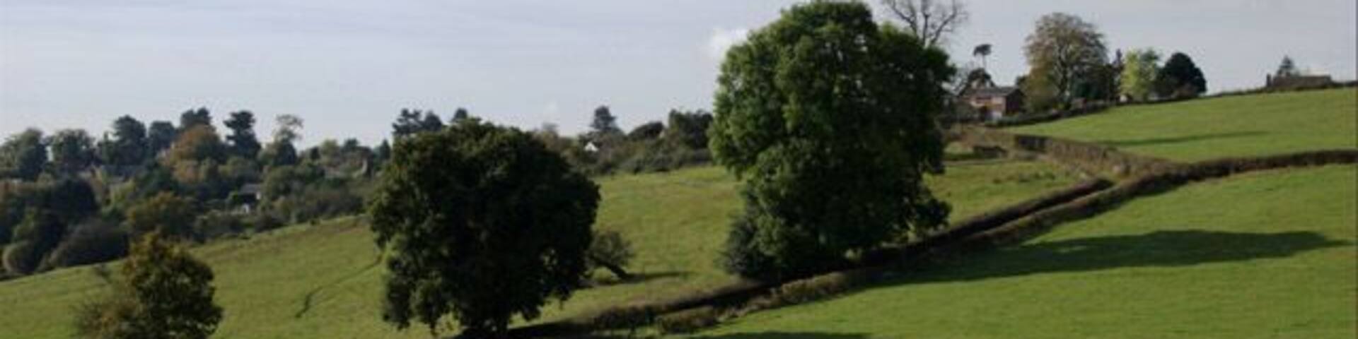 Track to Holbrook This hedge-lined track leads up into the village of Holbrook.