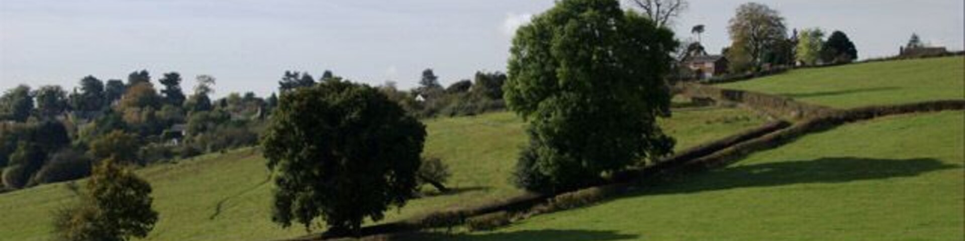 Track to Holbrook This hedge-lined track leads up into the village of Holbrook.