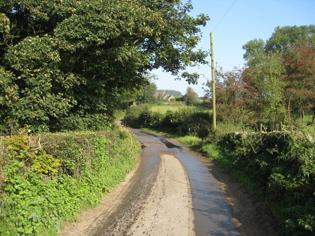 A rural dirt road flanked by lush greenery and trees.