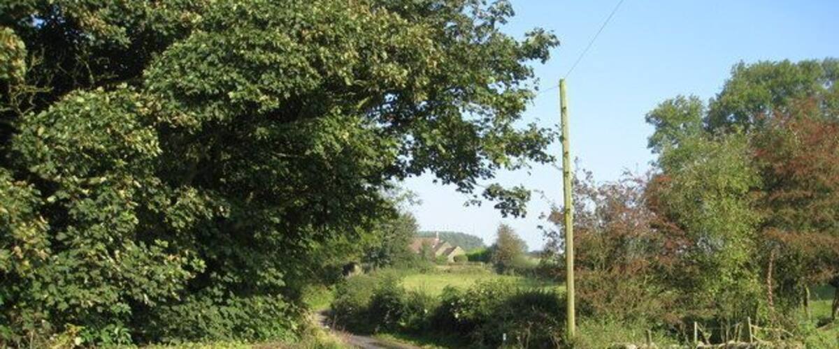 A rural dirt road flanked by lush greenery and trees.
