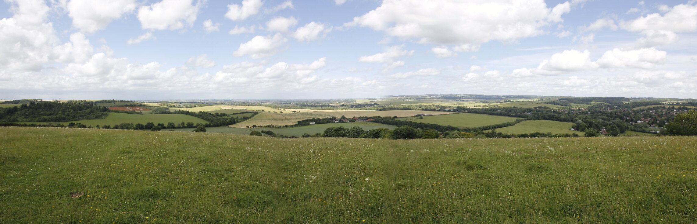 Panorama from Lough Down