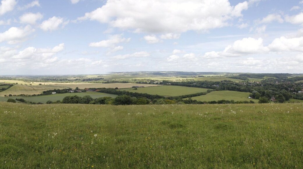 Panorama from Lough Down