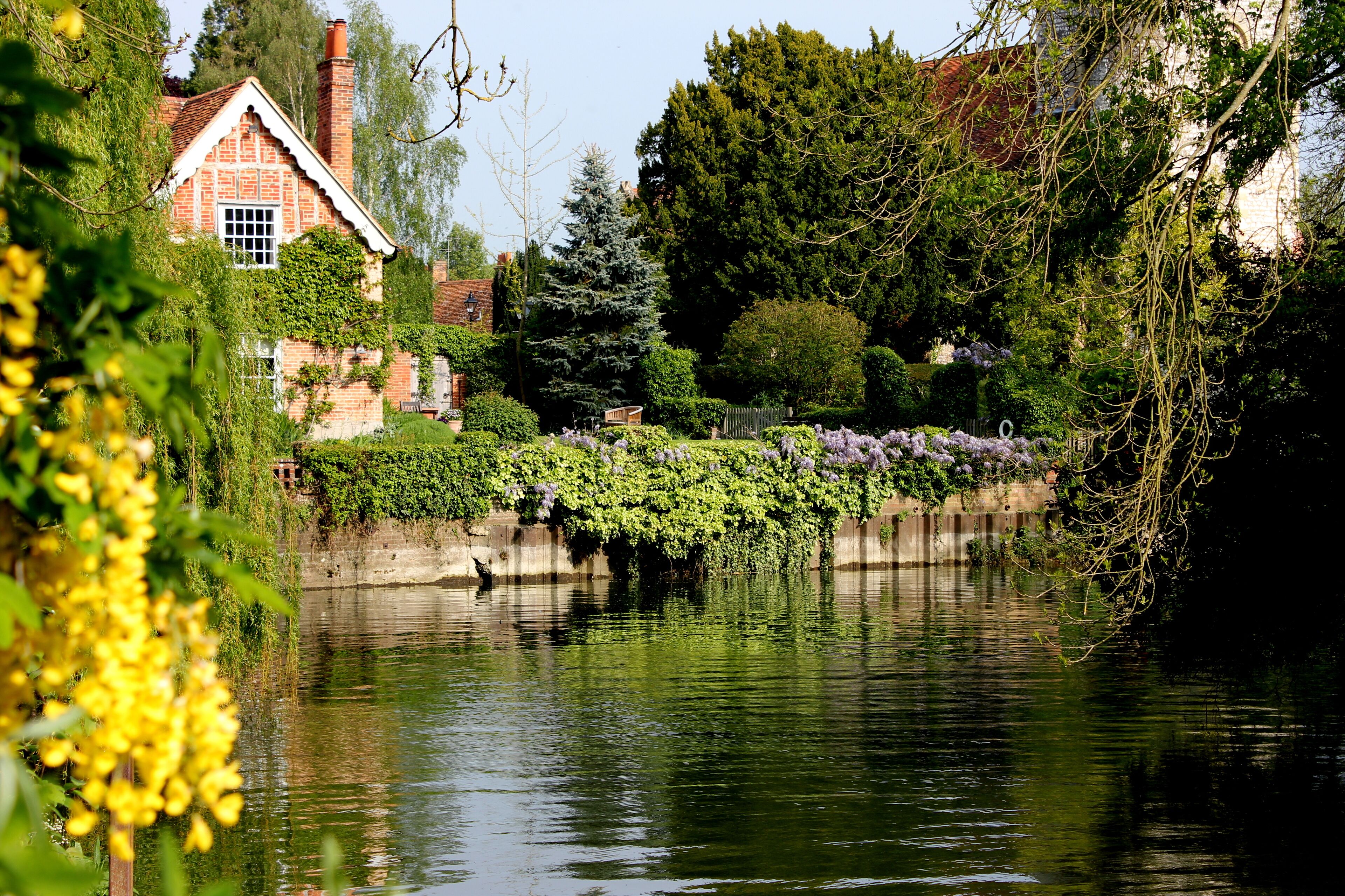 A riverside garden with a brick house, lush greenery, and purple flowers.