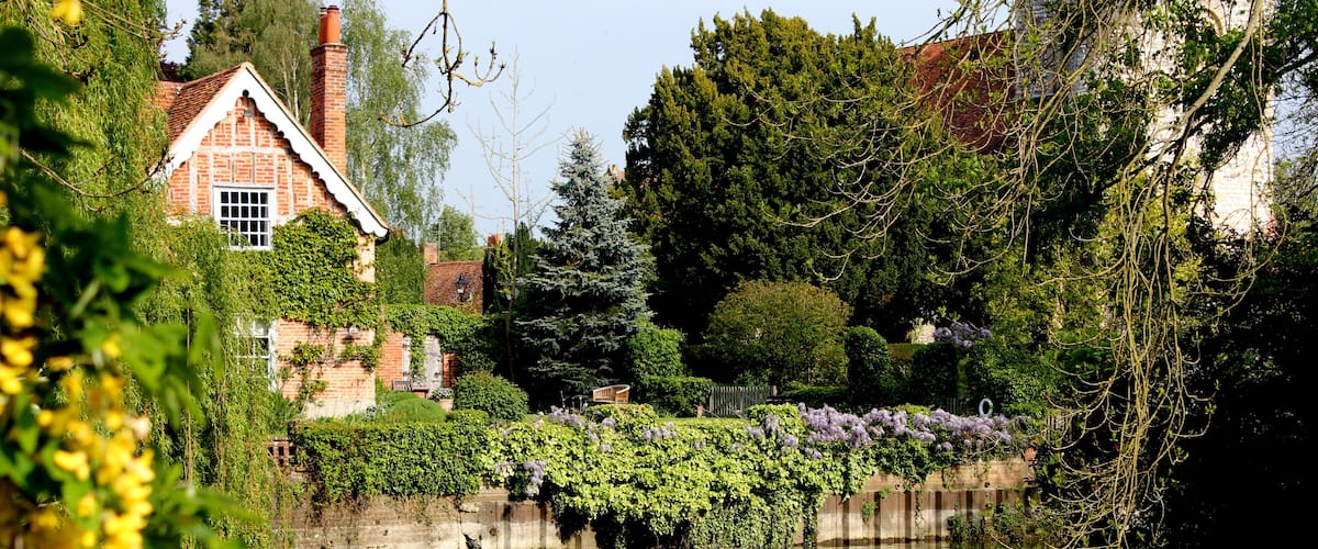 A riverside garden with a brick house, lush greenery, and purple flowers.