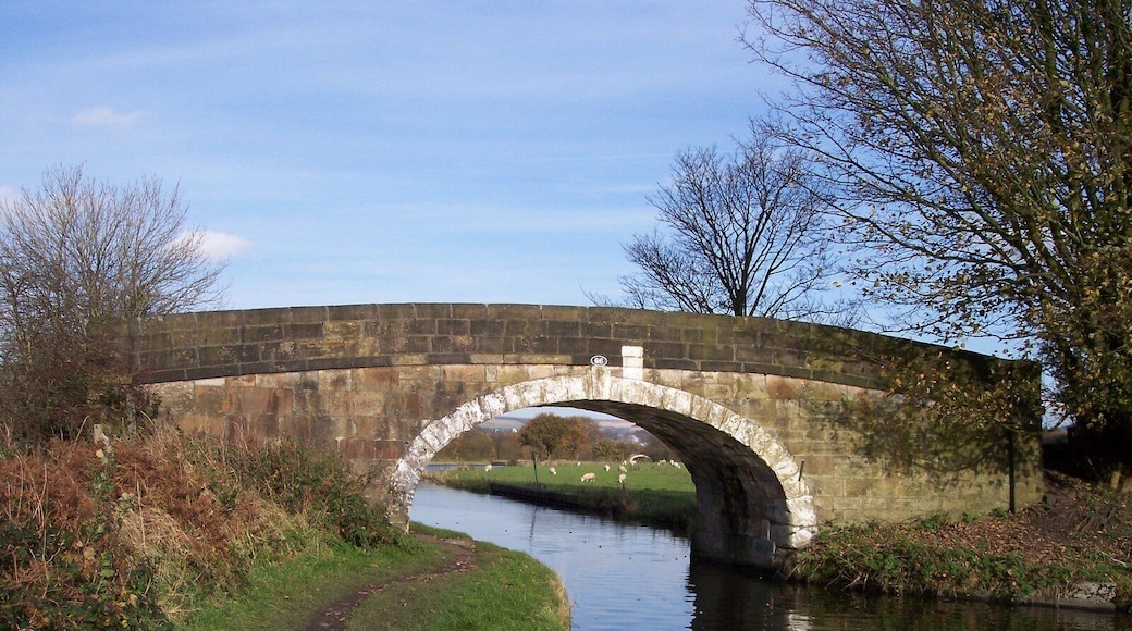 Photograph of Waterhouse Bridge over the Leeds and Liverpool Canal near Blackrod, Greater Manchester, England