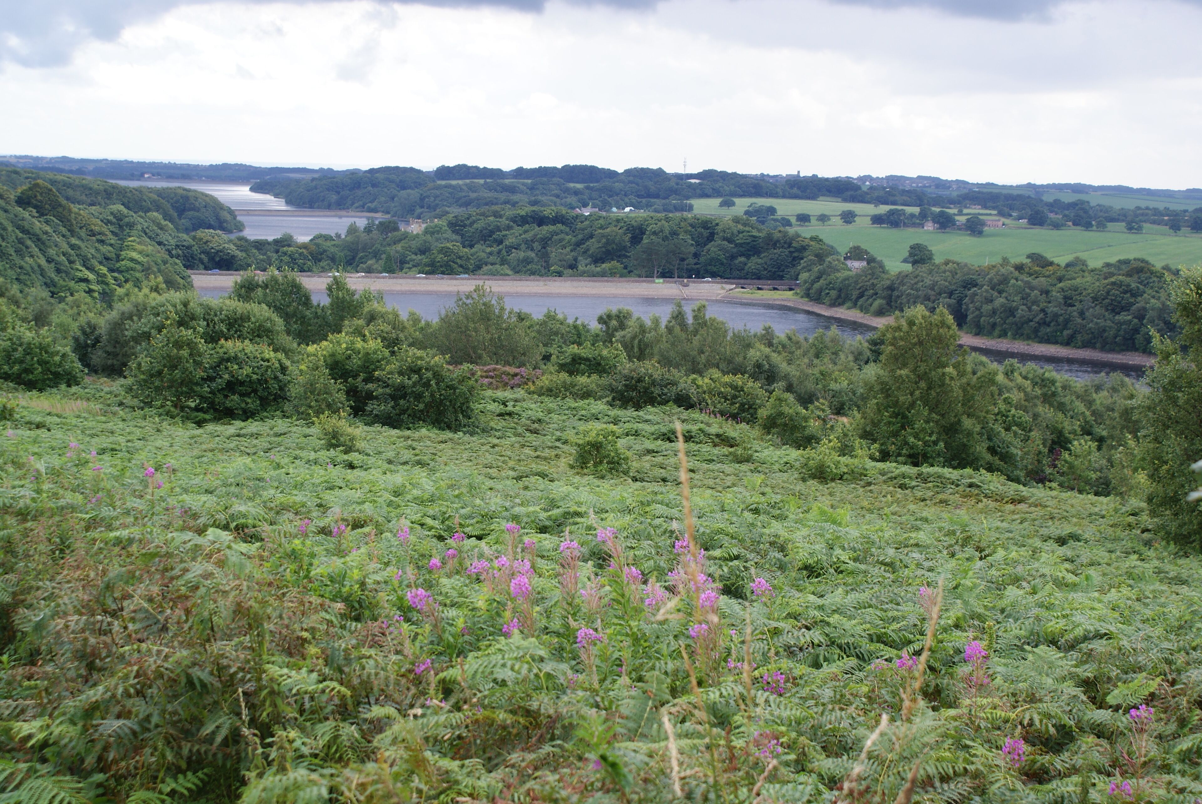 Higher ground above Anglezarke Reservoir This is a recommended viewpoint. You can see along to Upper and Lower Rivington Reservoirs.