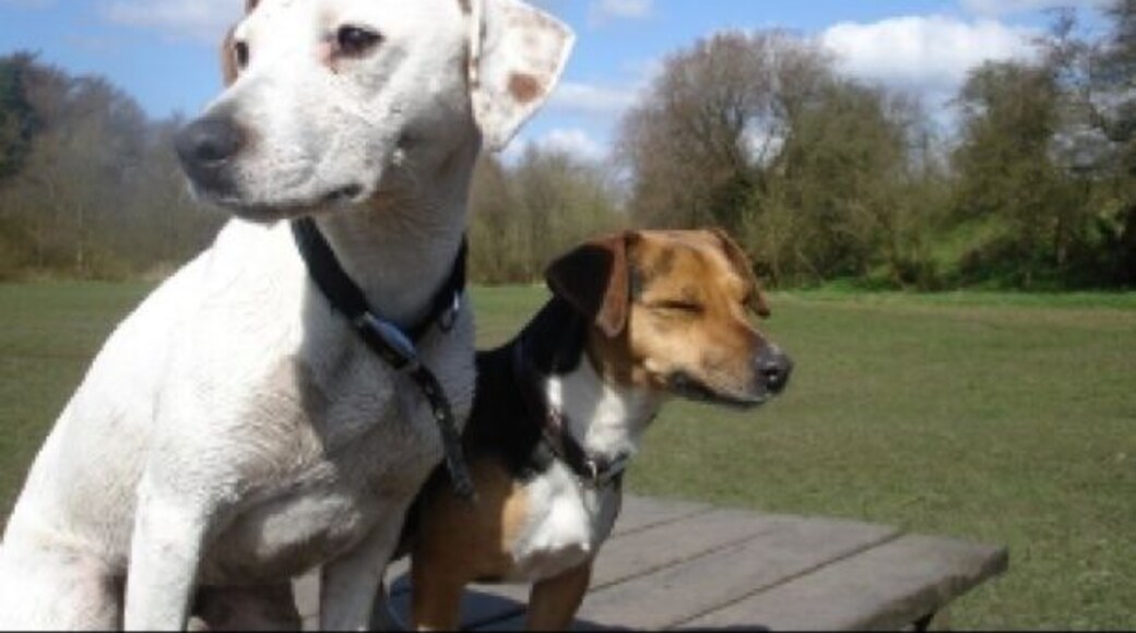 Great place for walkies