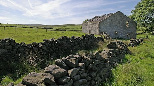 Ratten Clough One of the many abandoned farms to by found on the moors around here