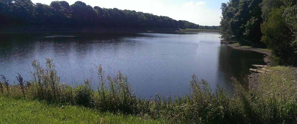A calm lake surrounded by dense forest and grassy banks.