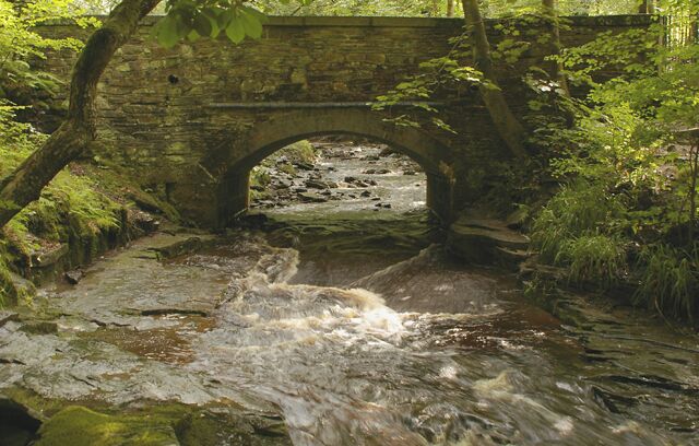 River Roddlesworth The water was a very peaty-brown due to the recent thunderstorms. Halliwell Fold Bridge in the background.
