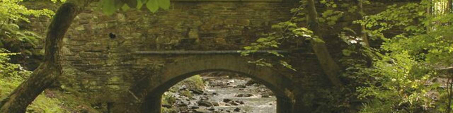 River Roddlesworth The water was a very peaty-brown due to the recent thunderstorms. Halliwell Fold Bridge in the background.