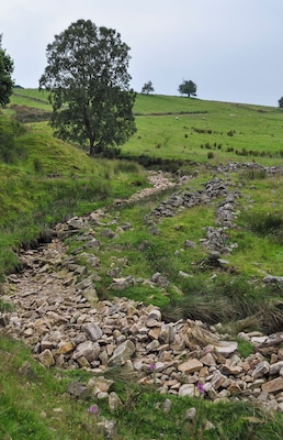 Rake Brook - winding downward