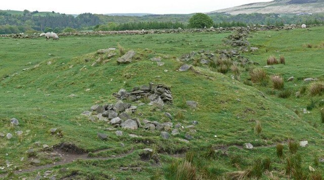 Burial mound? This mound caught my eye as I walked past. It is on grazing land above Withnall not far from the disused quarry. It has the shape of a small burial mound about 25ft long and 8ft wide and about 5ft high and is aligned in a roughly north-south direction.