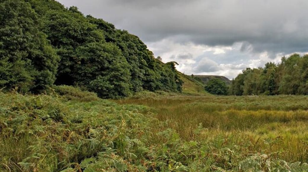Looking towards White Coppice