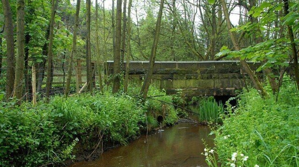 Stream under Mill lane