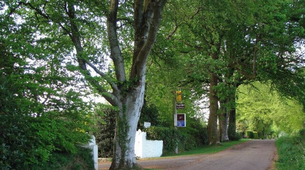 Fairwater Head Hotel