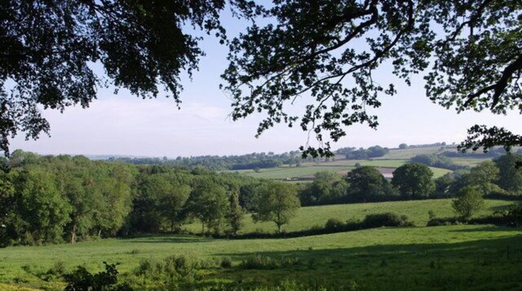 View from Blackwater Lane Fields drop towards Doleham Coppice on the left, down the side of which runs a stream. This is a tributary of the Blackwater River, whose valley is beyond.