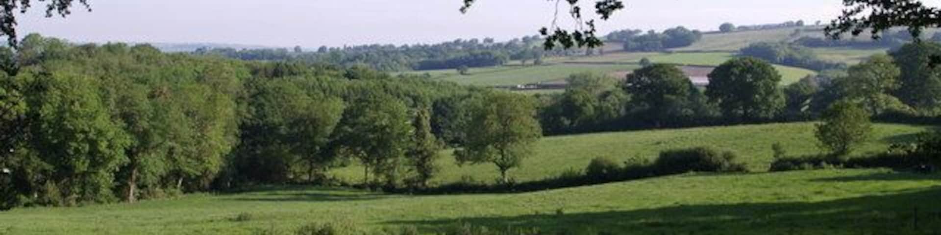 View from Blackwater Lane Fields drop towards Doleham Coppice on the left, down the side of which runs a stream. This is a tributary of the Blackwater River, whose valley is beyond.